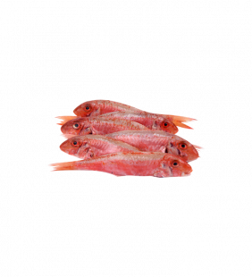 Rouget de roche
